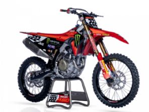 Desmo450 MX