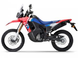 CRF300 Rally